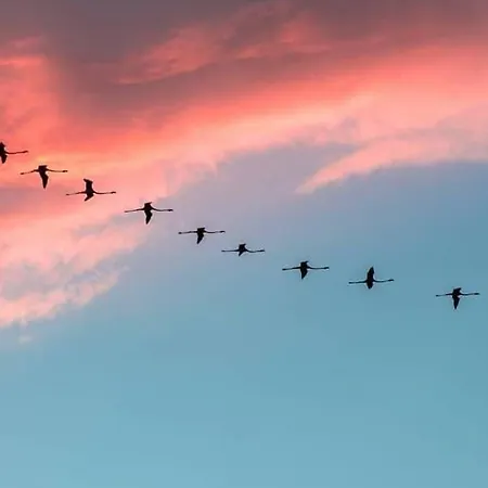 Lejlighed Caba's Vacation Ever Cagliari